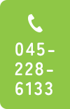 045-228-6133